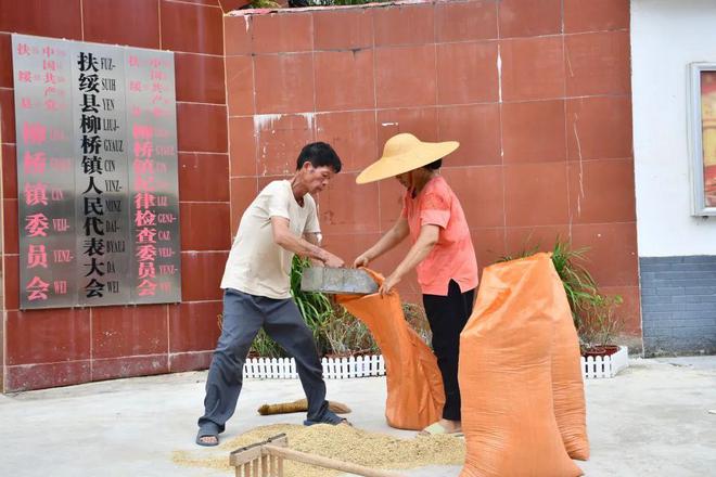 这个县城创造罚款收入下降“奇迹”开元棋牌网站政府大楼旁可以摆摊(图3)