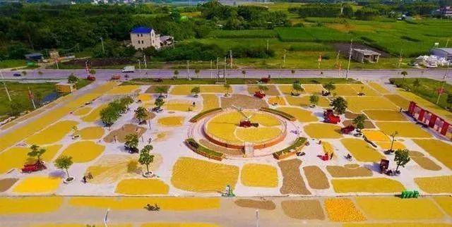 这个县城创造罚款收入下降“奇迹”开元棋牌网站政府大楼旁可以摆摊(图4)