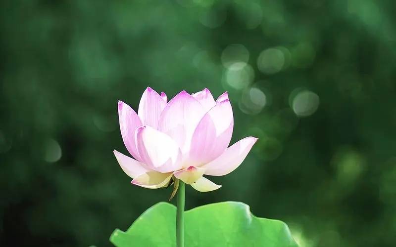 解读：牌阵与深度解析指南开元棋牌网站塔罗牌财运